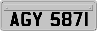 AGY5871
