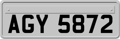 AGY5872