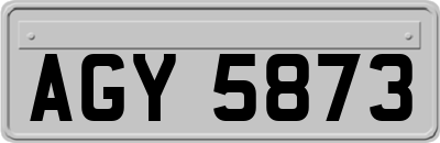 AGY5873