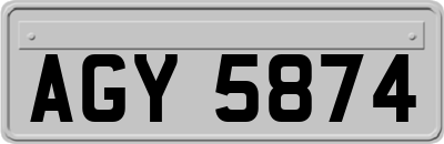 AGY5874