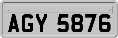 AGY5876