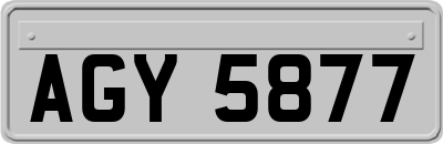 AGY5877