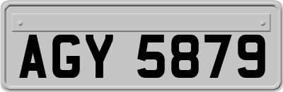 AGY5879