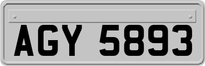 AGY5893