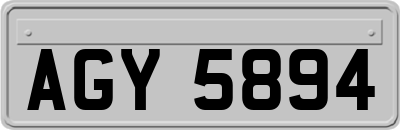AGY5894