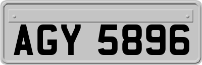 AGY5896