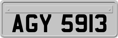 AGY5913
