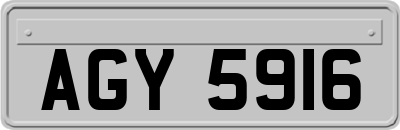 AGY5916