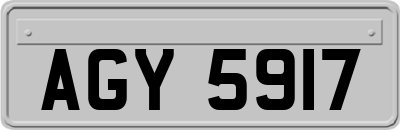 AGY5917