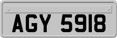 AGY5918