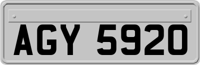 AGY5920
