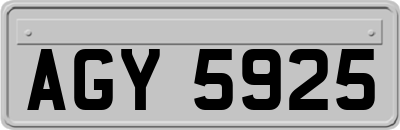 AGY5925