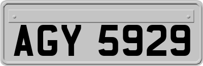 AGY5929