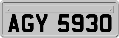 AGY5930