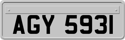 AGY5931