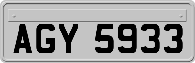AGY5933