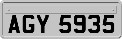 AGY5935