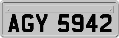 AGY5942