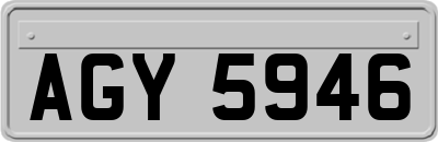 AGY5946