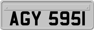AGY5951