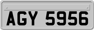 AGY5956