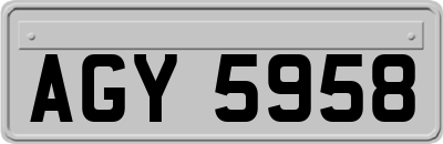 AGY5958