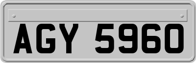 AGY5960