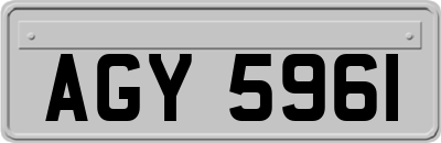 AGY5961