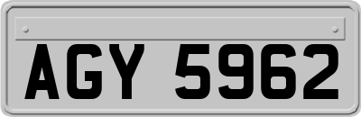 AGY5962