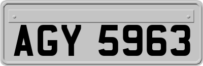 AGY5963