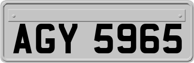 AGY5965