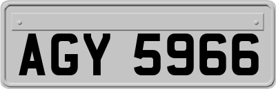 AGY5966