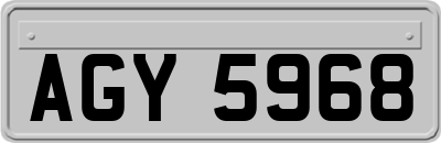 AGY5968