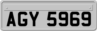 AGY5969