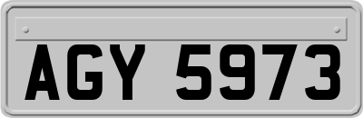 AGY5973