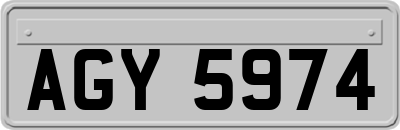 AGY5974