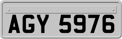 AGY5976