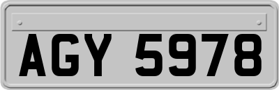 AGY5978