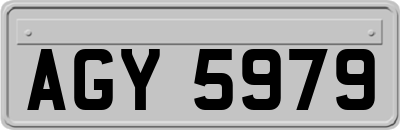 AGY5979