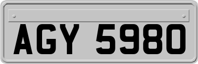 AGY5980