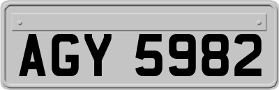 AGY5982