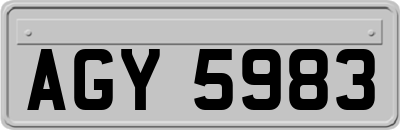 AGY5983
