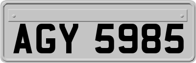 AGY5985