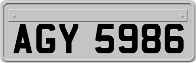 AGY5986