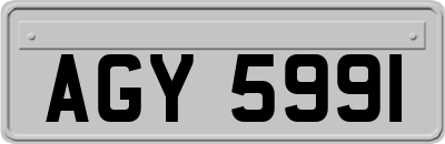 AGY5991