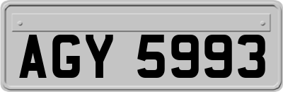 AGY5993