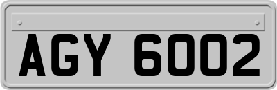 AGY6002