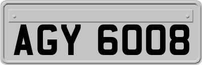 AGY6008