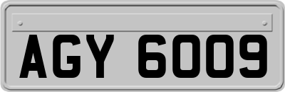 AGY6009