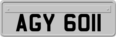 AGY6011